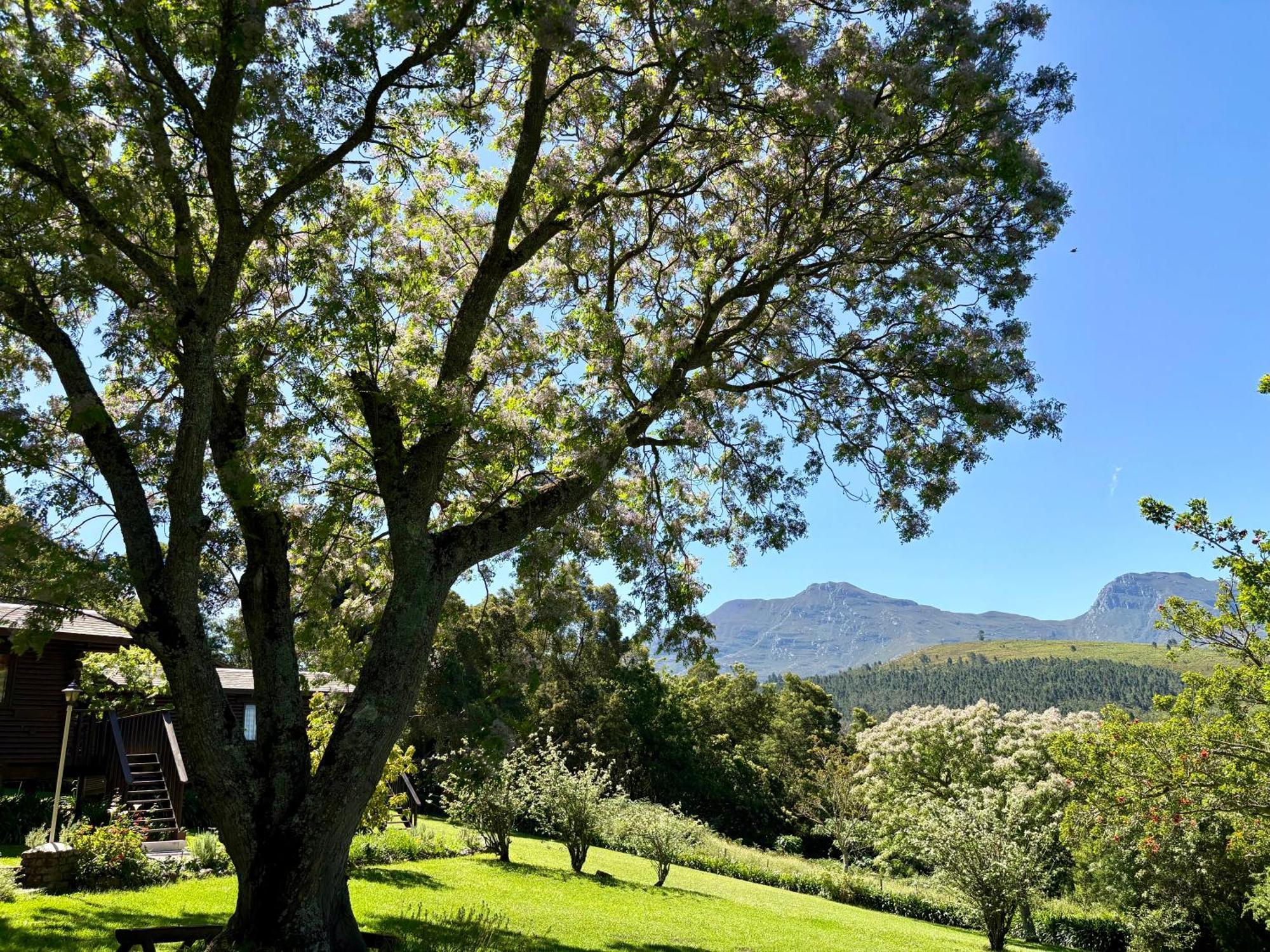 Eight Bells Mountain Inn Ruiterbos Esterno foto