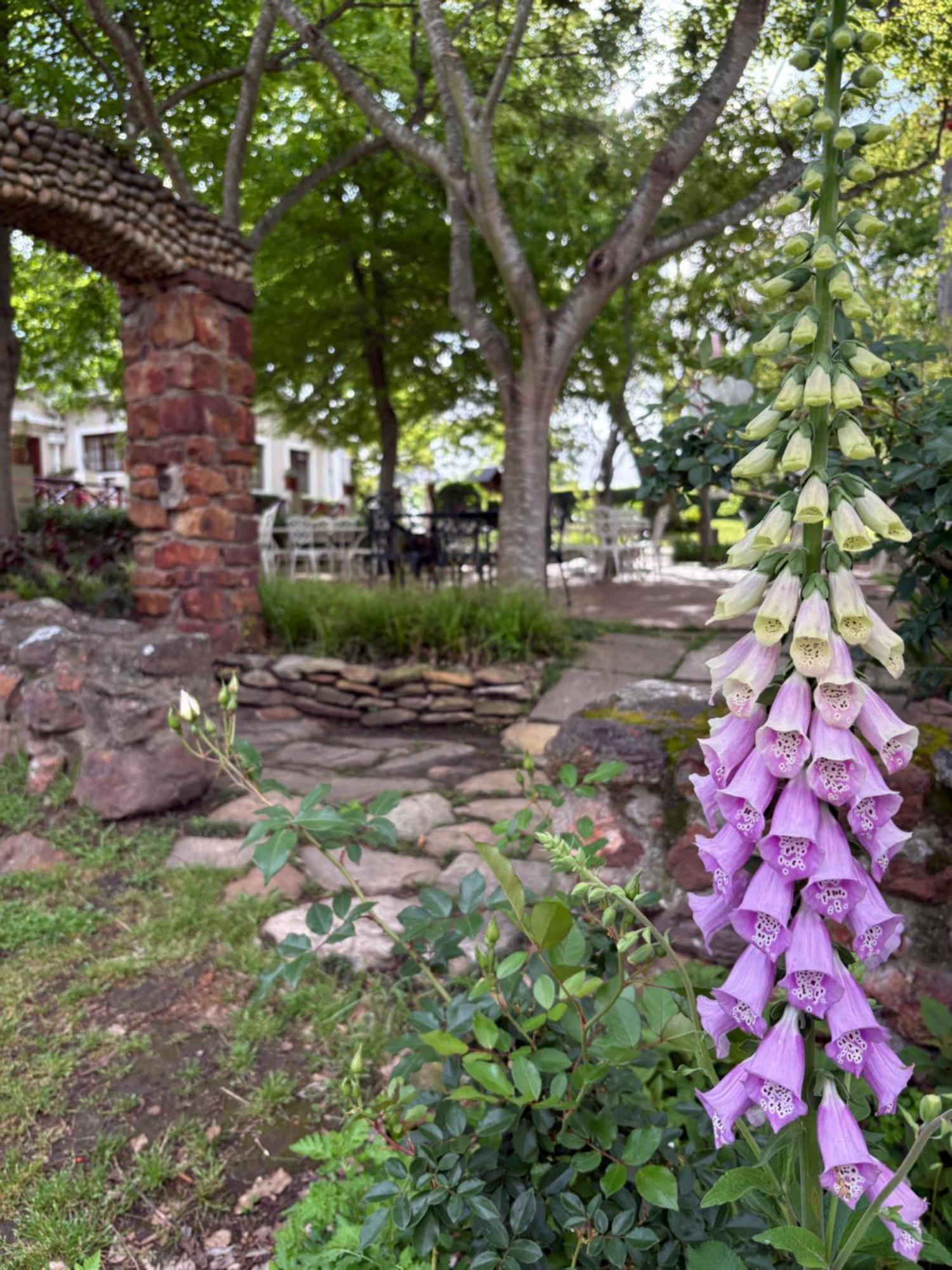 Eight Bells Mountain Inn Ruiterbos Esterno foto
